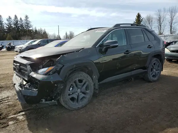 2T3J1RFV6RW428768 2024 TOYOTA RAV 4 - Image 1