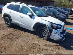 2T3J1RFV6RW464511 2024 TOYOTA RAV 4