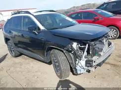 2T3J1RFV7KC001526 2019 TOYOTA RAV 4