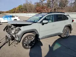 2T3J1RFV7KW006756 2019 TOYOTA RAV 4
