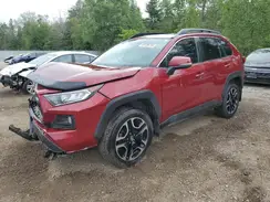 2T3J1RFV7KW034749 2019 TOYOTA RAV 4