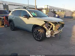 2T3J1RFV7KW043502 2019 TOYOTA RAV 4