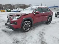2T3J1RFV8KW005731 2019 TOYOTA RAV 4