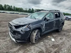 2T3J1RFV8PW340799 2023 TOYOTA RAV 4