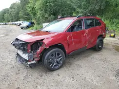2T3J1RFV8PW345078 2023 TOYOTA RAV 4