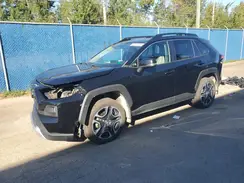2T3J1RFV9KW043517 2019 TOYOTA RAV 4