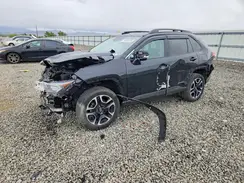 2T3J1RFV9MW159609 2021 TOYOTA RAV 4