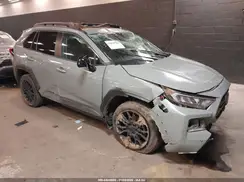 2T3J1RFVXKW033000 2019 TOYOTA RAV 4