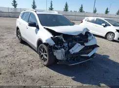 2T3JFREV1GW531239 2016 TOYOTA RAV 4