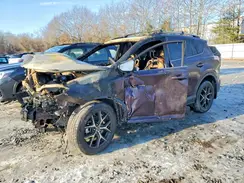 2T3JFREV3GW499782 2016 TOYOTA RAV 4