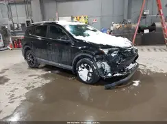 2T3JFREV7GW492656 2016 TOYOTA RAV 4