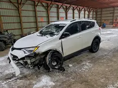 2T3JFREV8HW571562 2017 TOYOTA RAV 4