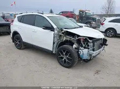 2T3JFREV9HW631056 2017 TOYOTA RAV 4