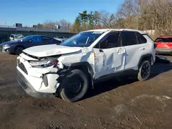 2T3K1RFV0PC238144 2023 TOYOTA RAV 4