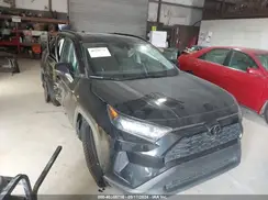 2T3K1RFV1KW044004 2019 TOYOTA RAV 4