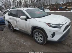 2T3K1RFV1RC290126 2024 TOYOTA RAV 4