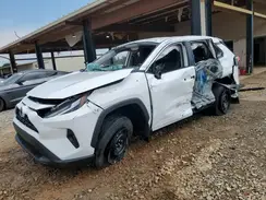 2T3K1RFV1SC335894 2025 TOYOTA RAV 4