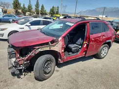 2T3K1RFV2KC031392 2019 TOYOTA RAV 4