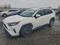 2T3K1RFV6KC019245 2019 TOYOTA RAV 4