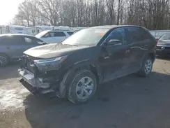 2T3K1RFV6PC226080 2023 TOYOTA RAV 4