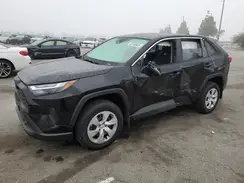2T3K1RFVXSC334436 2025 TOYOTA RAV 4