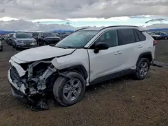 2T3LWRFV0RW211890 2024 TOYOTA RAV 4