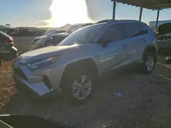 2T3LWRFV0RW235431 2024 TOYOTA RAV 4