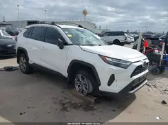 2T3LWRFV1RW199507 2024 TOYOTA RAV 4