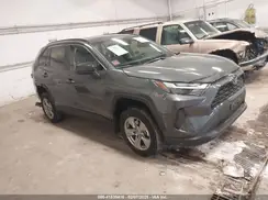 2T3LWRFV1RW217360 2024 TOYOTA RAV 4