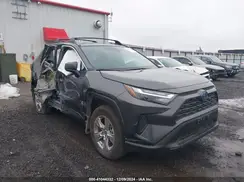2T3LWRFV2RW198754 2024 TOYOTA RAV 4