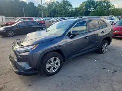 2T3LWRFV2RW204018 2024 TOYOTA RAV 4