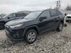 2T3LWRFV2RW242784 2024 TOYOTA RAV 4