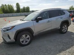 2T3LWRFV2SW268159 2025 TOYOTA RAV 4