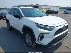 2T3LWRFV3RW203119 2024 TOYOTA RAV 4