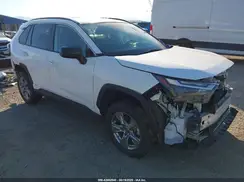2T3LWRFV3RW211611 2024 TOYOTA RAV 4