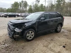 2T3LWRFV3RW224570 2024 TOYOTA RAV 4