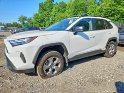 2T3LWRFV3SW278912 2025 TOYOTA RAV 4