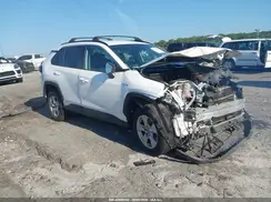 2T3LWRFV4KW029910 2019 TOYOTA RAV 4