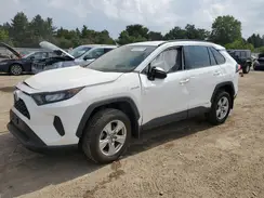 2T3LWRFV4LW075514 2020 TOYOTA RAV 4