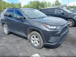 2T3LWRFV6LW091875 2020 TOYOTA RAV 4