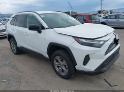 2T3LWRFV6RW212137 2024 TOYOTA RAV 4