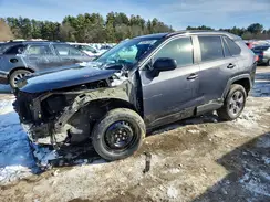 2T3LWRFV6RW221114 2024 TOYOTA RAV 4