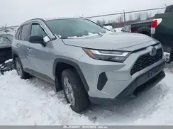 2T3LWRFV7RW205116 2024 TOYOTA RAV 4