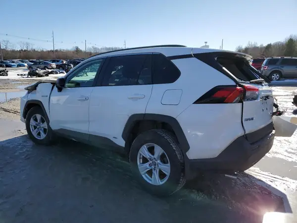 2T3LWRFV8KW014049 2019 TOYOTA RAV 4 - Image 2