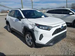 2T3LWRFV9LW063343 2020 TOYOTA RAV 4