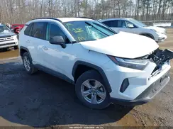 2T3LWRFV9RW206736 2024 TOYOTA RAV 4