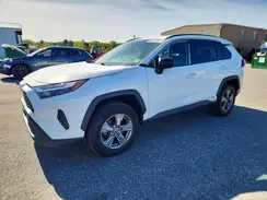 2T3LWRFV9RW212116 2024 TOYOTA RAV 4