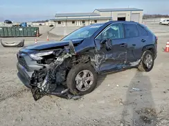 2T3LWRFV9RW239039 2024 TOYOTA RAV 4