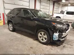 2T3LWRFVXKW021312 2019 TOYOTA RAV 4