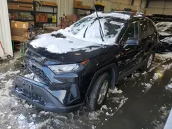 2T3LWRFVXKW024050 2019 TOYOTA RAV 4
